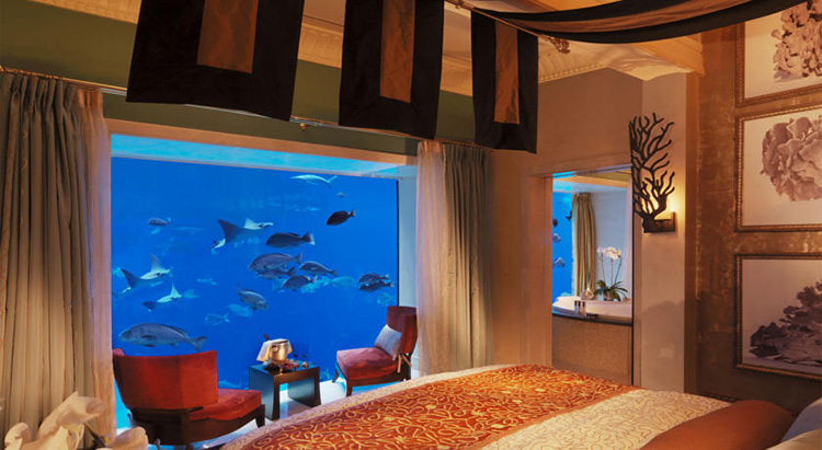 迪拜棕榈岛亚特兰蒂斯度假酒店(atlantis the palm dubai) 棕榈豪华房