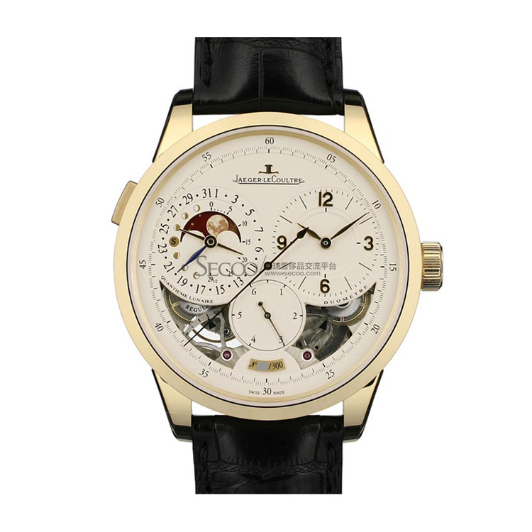 jaeger-lecoultre(积家) 双翼系列男士机械腕表q6040420