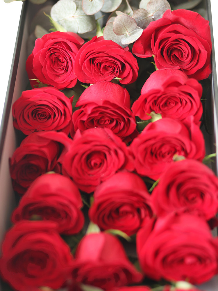 豪华玫瑰-女神 18枝