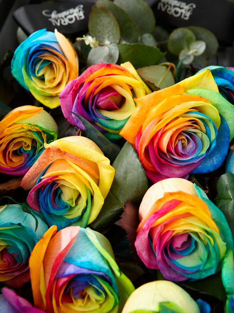 【floral fantasy魔幻花 鲜花绿植】情人节专属-彩虹玫瑰豪华礼盒