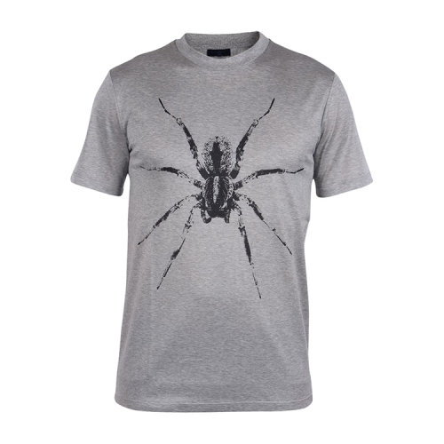 男装蜘蛛啥牌子的衣服图片