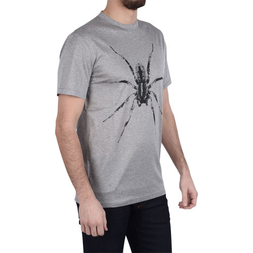 男装蜘蛛啥牌子的衣服图片