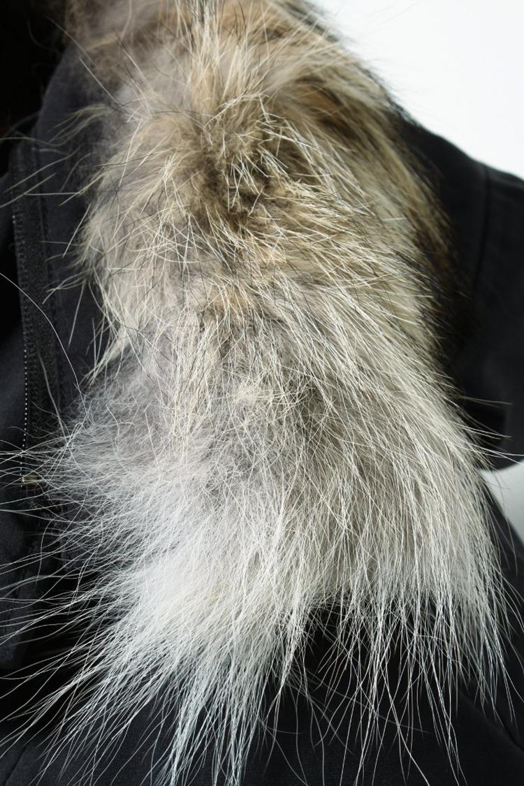 journal standard canada goose brookfield 男士郊狼毛皮草连帽羽绒