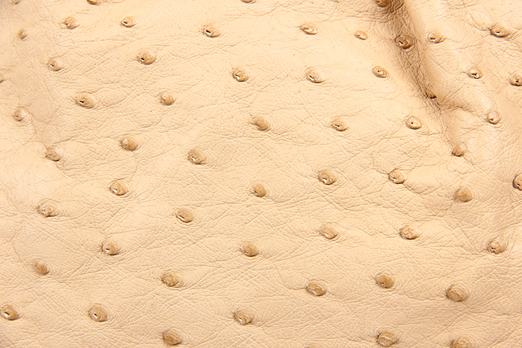 gucci(古驰) 浅驼色鸵鸟皮手提包