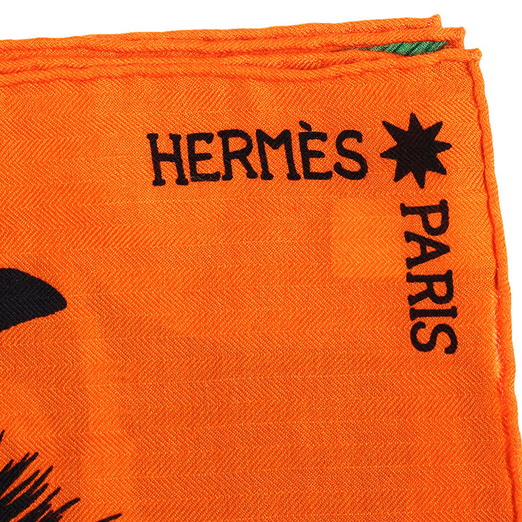 hermes paris围巾图片