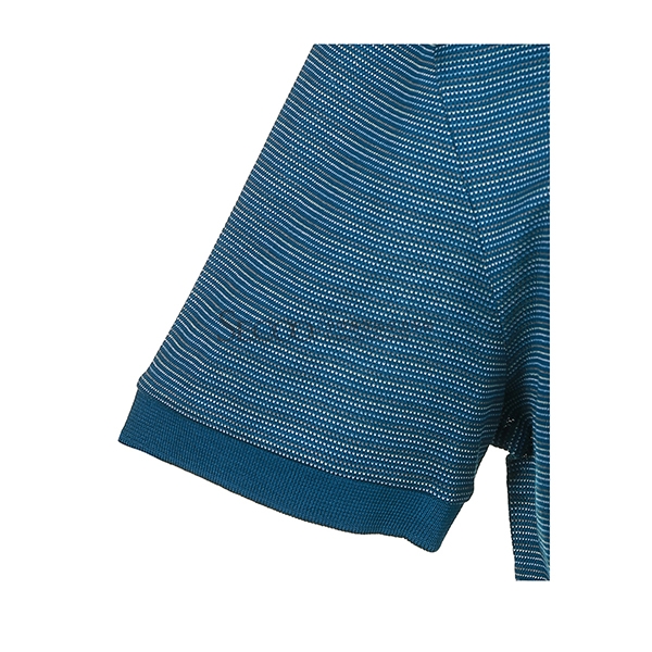 zegna (杰尼亚)春夏新款 z zegna 全棉男士t恤 其他 xl