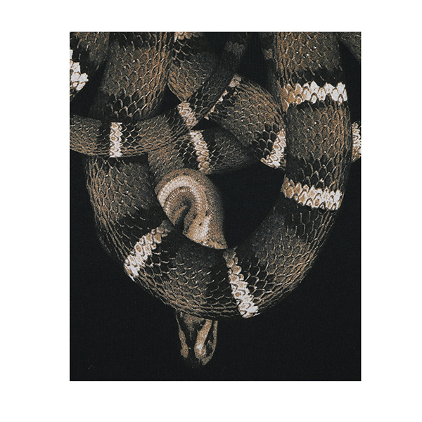 【marcelo burlonmarcelo burlon 男士t恤.】marcelo burlon/marcelo 