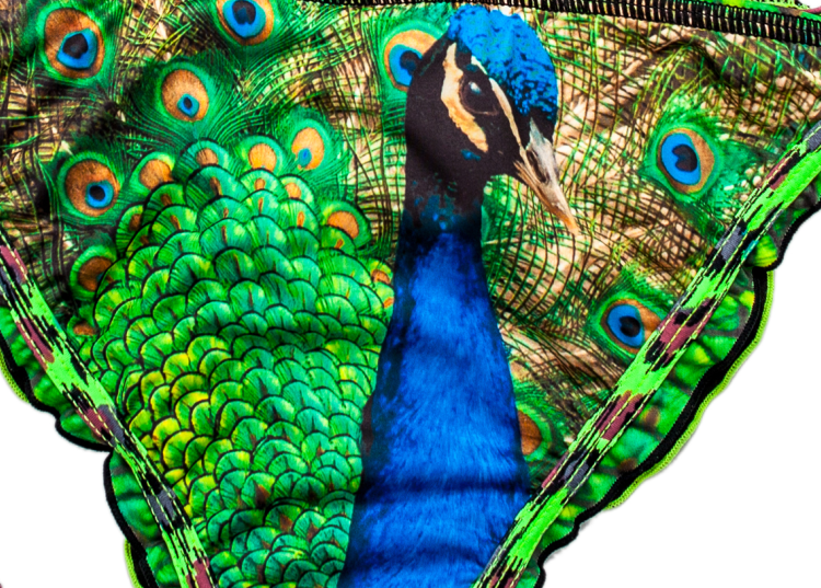 agua bendita/阿瓜本迪塔bendito 孔雀比基尼 胸垫可取 花色 l